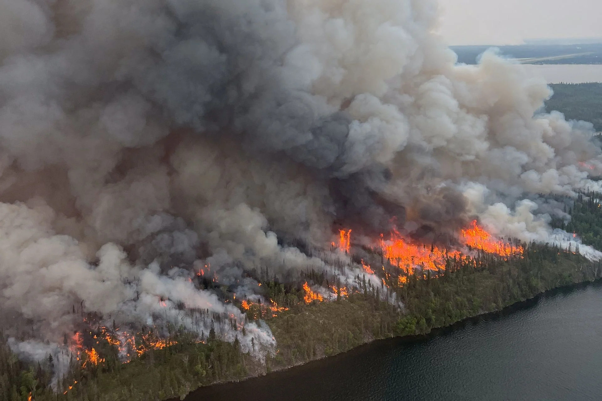 Wildfire events | Kids Parties in Perth and Kinross